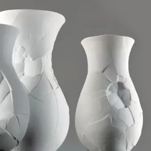Vase of Phases - Rosenthal